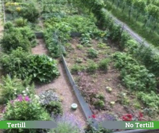 A Very Big Garden - 50 x 50 feet!