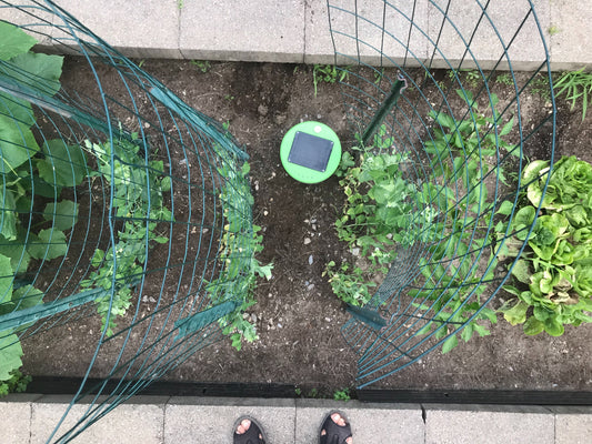 Tertill weeding 4 x 20 raised-bed vegetable gardens