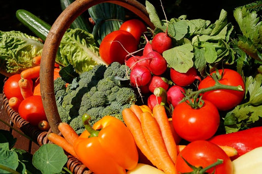 Bountiful vegetable harvest