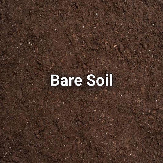 Bare Soil
