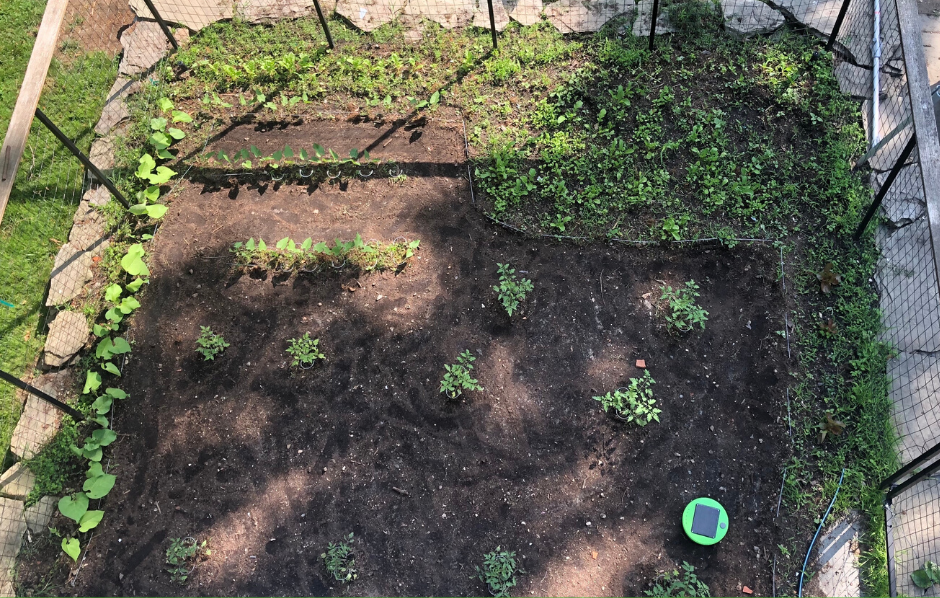 12 x 15 Vegetable Garden with area blocked off for greens