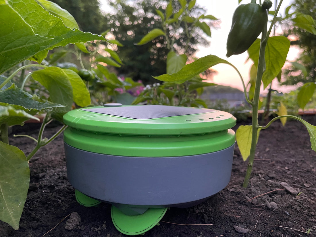 Home Gardening Made Easy with Tertill, the High-Tech Gardening Robot