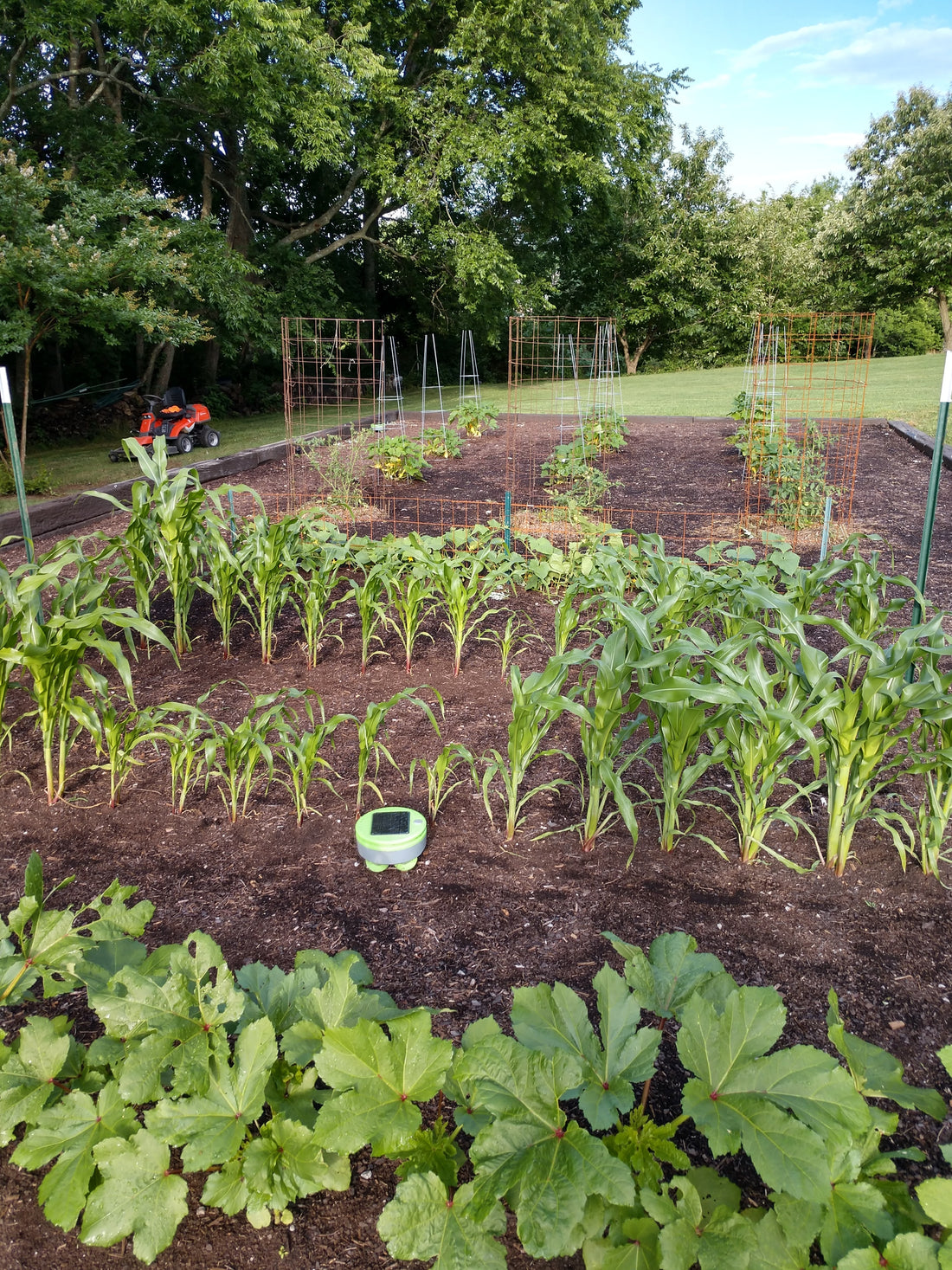 A Two-Tertill Garden