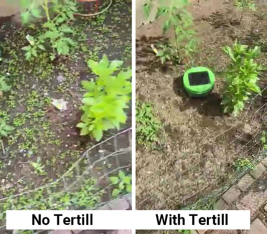 Jeff B's Before Tertill and After Tertill Garden