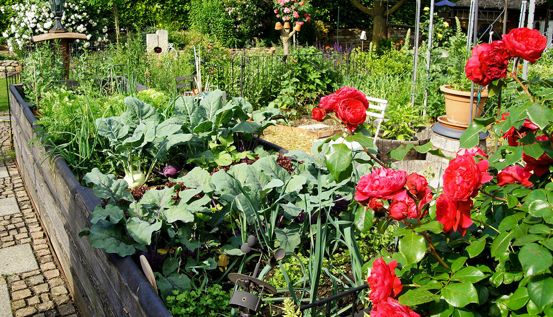 Raised Beds - Are They Right for You?
