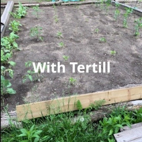 Ron's 15 x 35 Two Tertill Garden