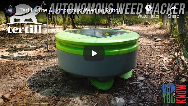 "Push the button and let it go. It will keep the weeds down for the rest of the season....looking at a test garden - one has Tertill and one doesn't. As you can see, it works. Tertill Solar powered weeding robot organically controlling weeds in a garden.