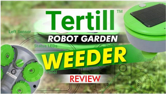 The Tertill is a household robot that regularly patrols and terminates weeds in your yard. It relies solely on its mechanics, making it one of the most eco-friendly ways to keep your gardens free from herbicides and other chemicals. 