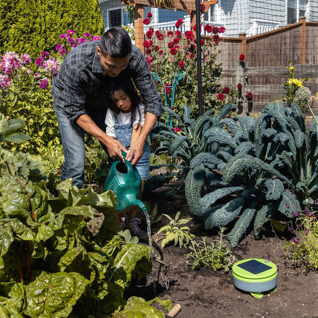 Tertill Weeding Robot